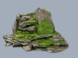 Forest rocks 3D Model