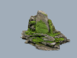 Forest rocks 3D 모델