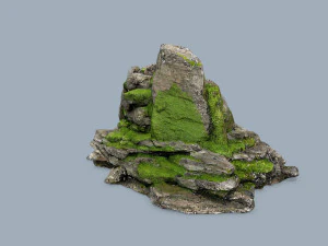 Forest rocks 3D Model