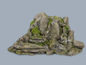 Forest rocks 3D Model