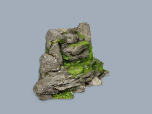 Forest rocks 3D Model