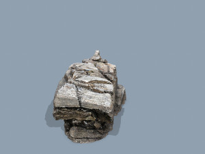 Cliff rocks 3D Model