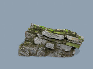 Forest rocks Modèle 3D