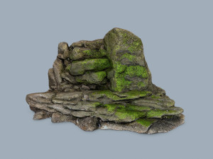 Forest rocks Modelo 3D