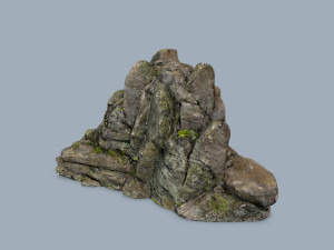 Forest rocks Modelo 3D