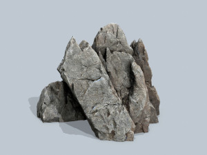 River Stone Modèle 3D