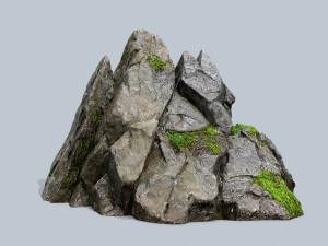 Forest rocks 3D 모델