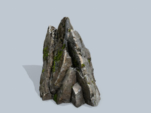 Forest rocks 3D 모델