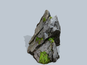 Forest rocks 3D 모델
