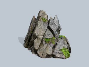 Forest rocks 3D 모델