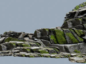 숲의 바위 3D 모델