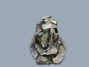 Forest rocks Modelo 3D