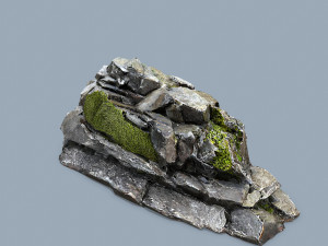 Forest rocks Modelo 3D