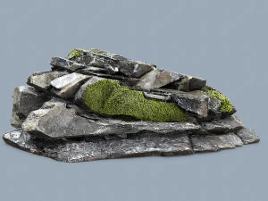 Forest rocks 3D Model