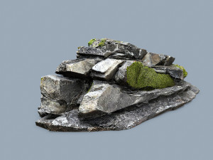 Forest rocks Modelo 3D