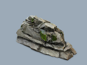 Forest rocks Modelo 3D