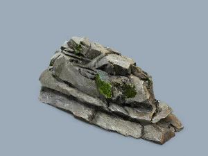 Forest rocks 3D Model