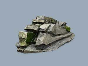 Forest rocks Modelo 3D