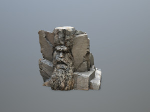Face of the mountain Modèle 3D