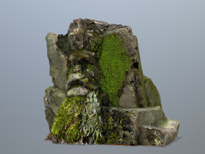 Face of the mountain 3Dモデル