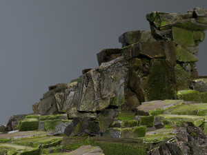 Forest rocks 3D 模型