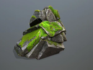 Forest rocks 3D Model