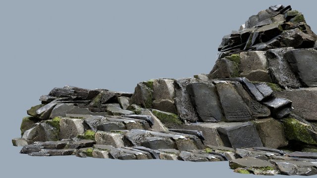 Forest rocks 3D Model .c4d .max .obj .3ds .fbx .stl .blend 