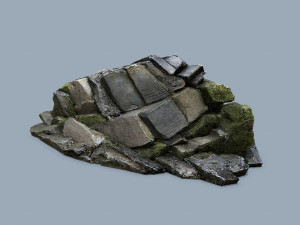 Forest rocks 3D Model