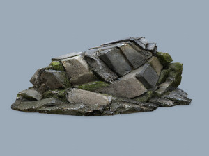 Forest rocks 3D Model