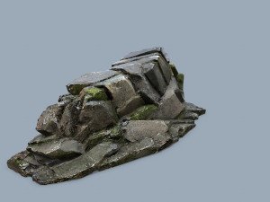 Forest rocks 3D Model
