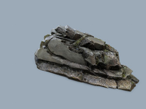 Forest rocks 3D Model