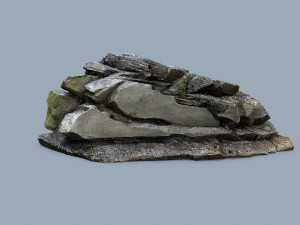 Forest rocks 3D Model