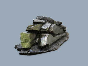 Forest rocks 3D Model