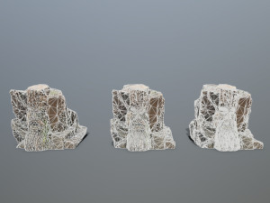 Mountain Face Modèle 3D