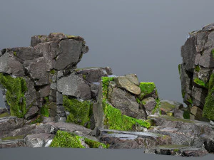 Rocce della foresta Modello 3D