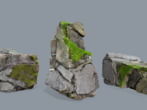Forest rocks 3D Model