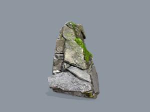 Forest rocks 3D Model