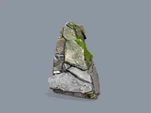 Forest rocks 3D Model