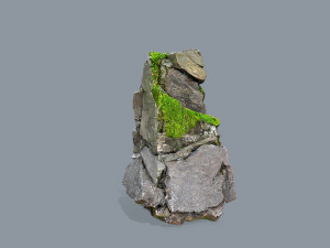 Forest rocks 3D Model