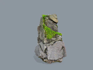 Forest rocks 3D Model