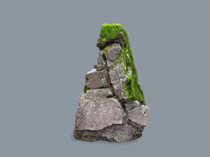 Forest rocks 3D Model