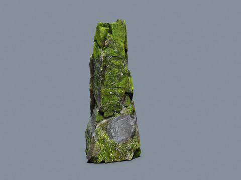 Forest rocks 3D Model