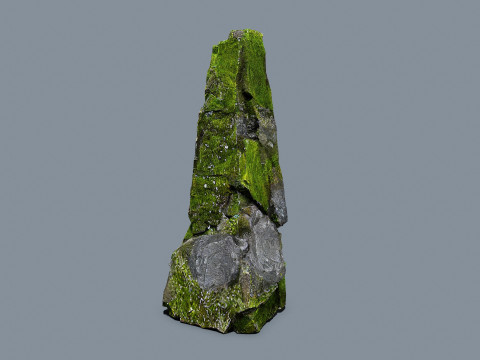 Forest rocks 3D Model