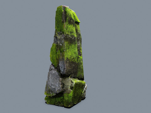 Forest rocks 3D Model