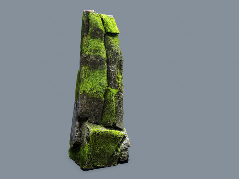 Forest rocks 3D Model