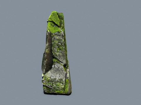 Rocce della foresta Modello 3D