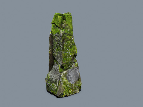 Forest rocks 3D Model