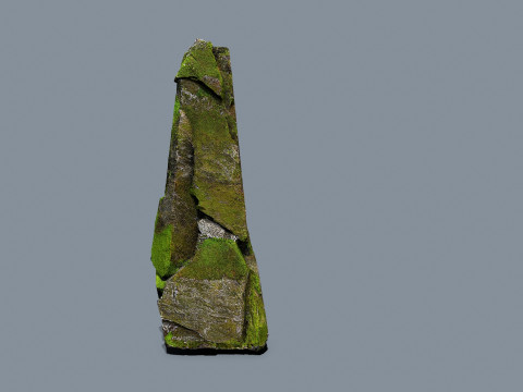 Forest rocks 3D 모델