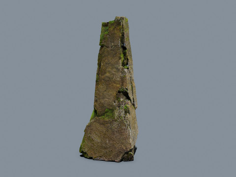 Forest rocks 3D 모델