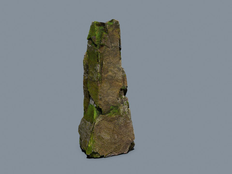 Forest rocks 3D 모델